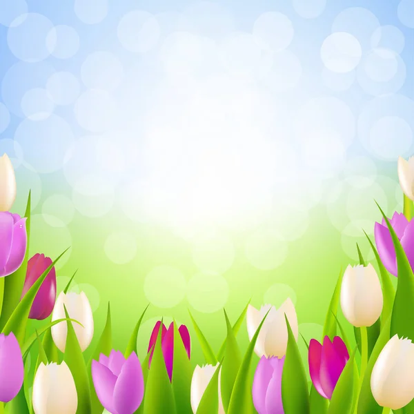 Tarjeta de naturaleza con tulipanes — Vector de stock