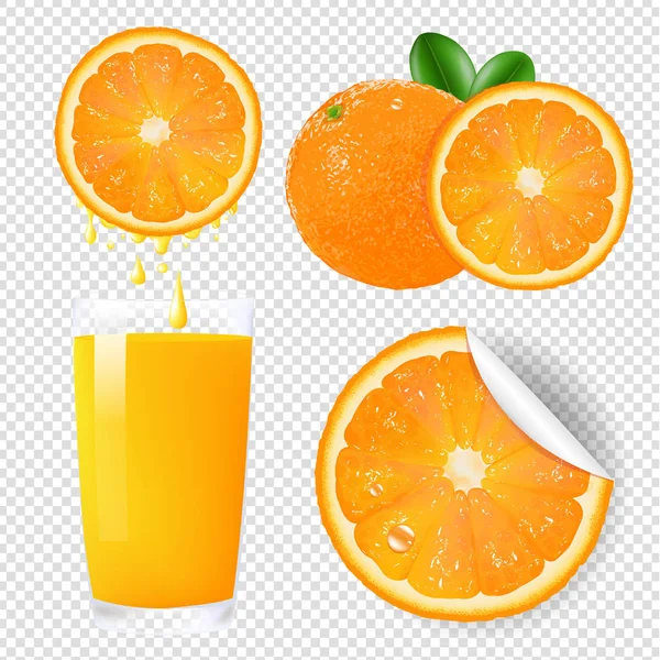Oranje vruchten set — Stockvector