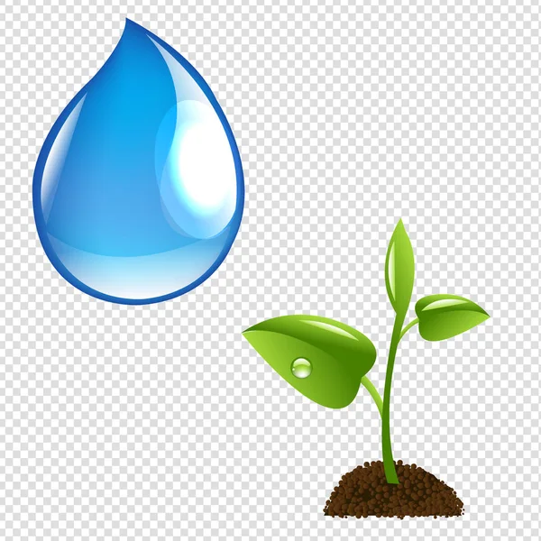 Roślina z kroplą wody — Wektor stockowy