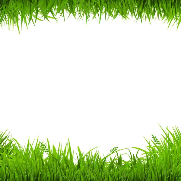 Grüne Grasränder — Stockvektor