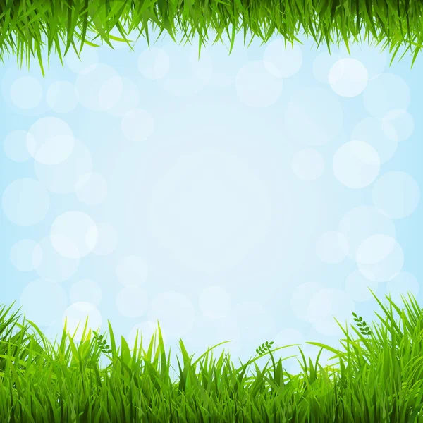 Grass Borders Illustration — Stock Vector