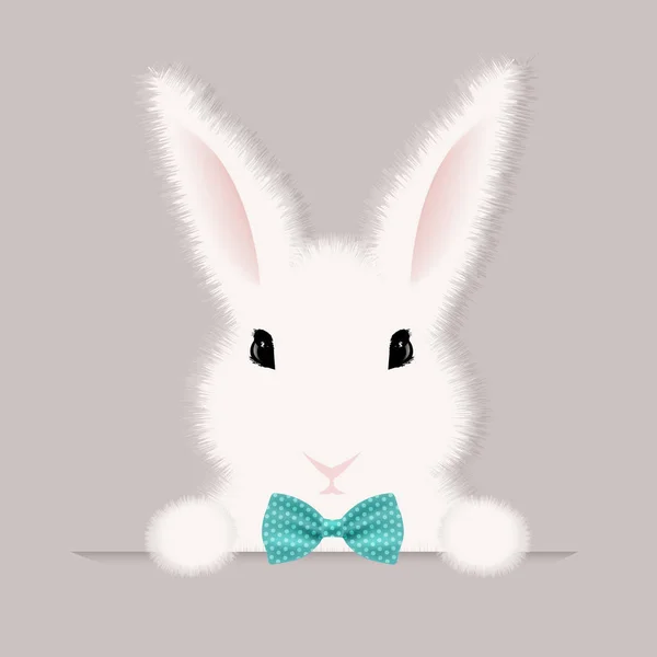 Conejo blanco con pajarita — Archivo Imágenes Vectoriales