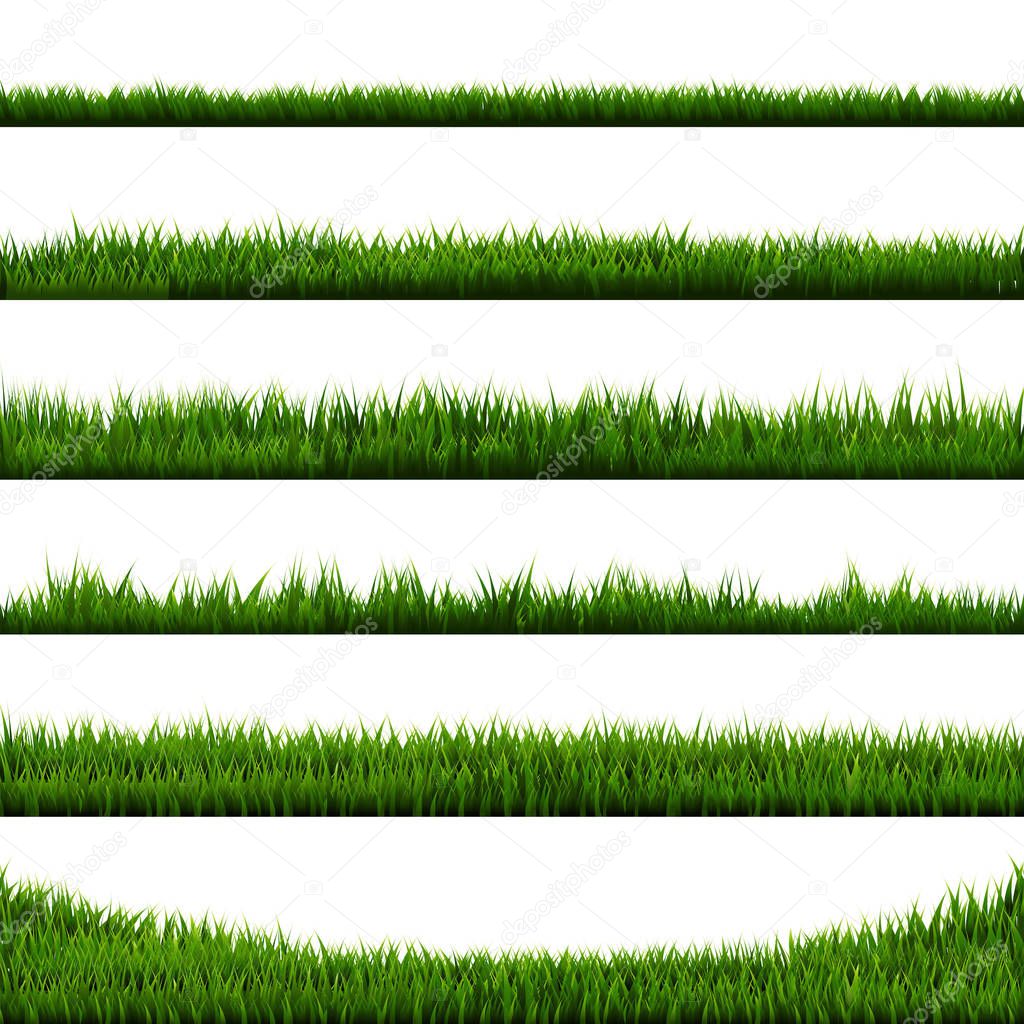 Green Grass Collection