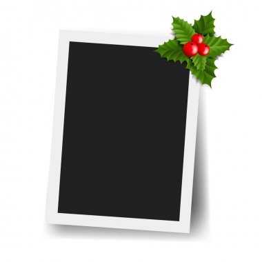 Holly Berry ile fotoğraf çerçevesi