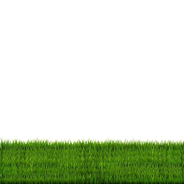 Gräsgräns för grönt gräs — Stock vektor