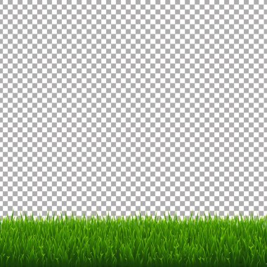 Yeşil Çim Sınırı, Vektör Resimleri