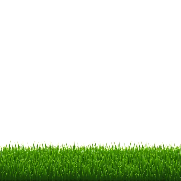Grön Gräs Gräns Isolerad Vektor Illustration — Stock vektor