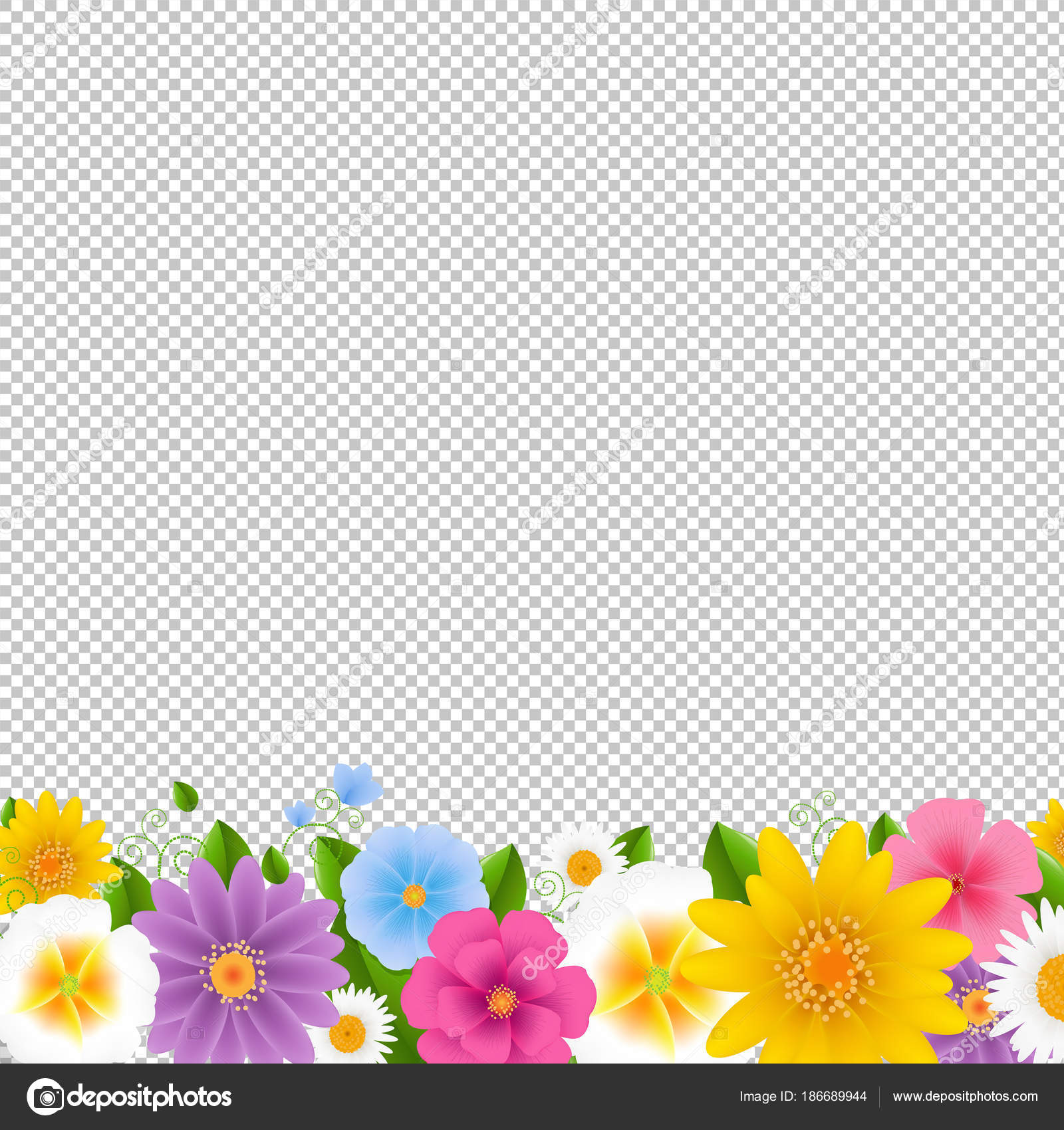 34+ Png Background Transparent Border PNG