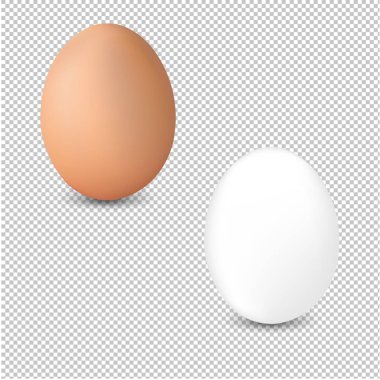 2 taze yumurta şeffaf arka plan degrade kafes, vektör çizim ile izole
