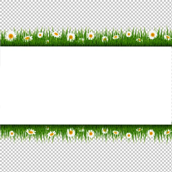 Card Flowers Transparent Background Gradient Mesh Vector Illustration — Stock Vector