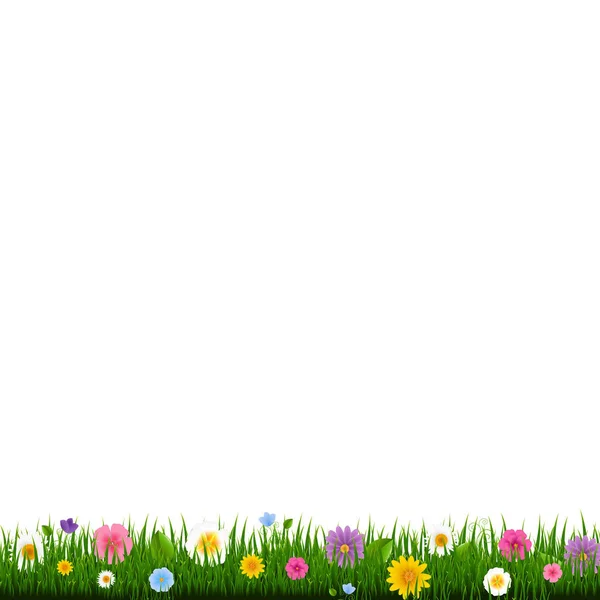 Grass Border White Background Gradient Mesh Vector Illustration — стоковий вектор