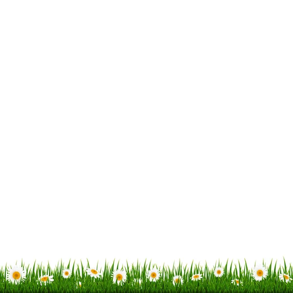 Gras Und Blumenrand Mit Gradientennetz Vektorillustration — Stockvektor