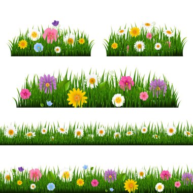 Gradyan Ağlı Çim ve Sınır Koleksiyonu, Vektör Resimleri