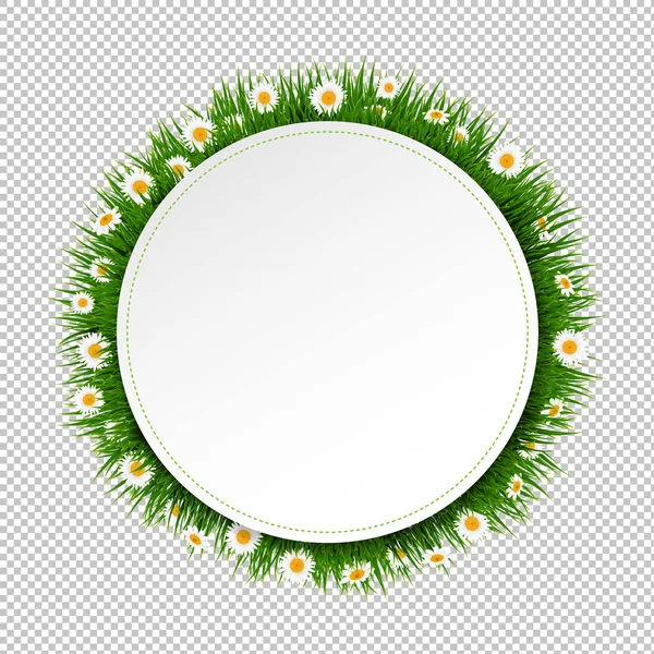 Banner Ball Grass Flower Transparent Background Gradient Mesh Vector Illustration — Stockový vektor