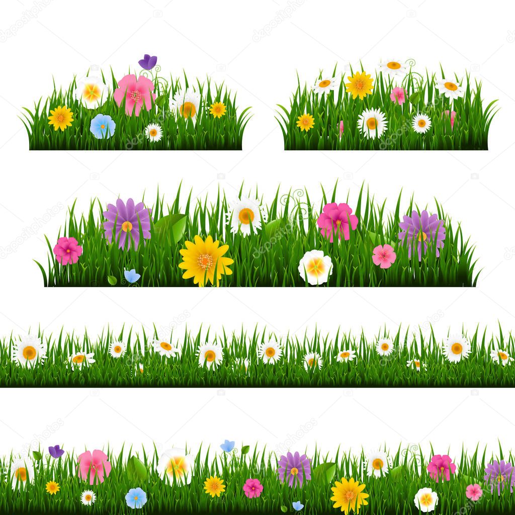 Grass And Border Collection With Gradient Mesh, Vector Illustration