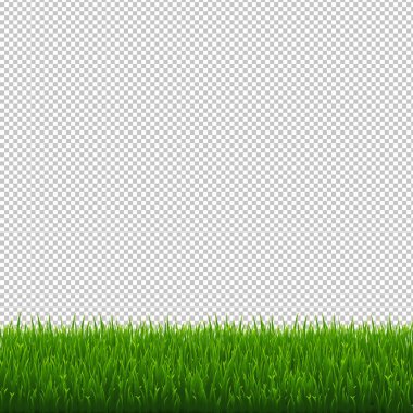 Yeşil Çimen Sınırı Şeffaf Arkaplan, Vektör Resimleri