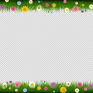 Yeşil çimen çiçekler çerçeve şeffaf arka plan degrade kafes, vektör çizim ile