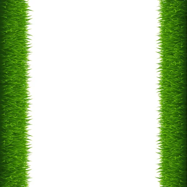 Green Grass Frame White Background Vector Illustration — Stock Vector