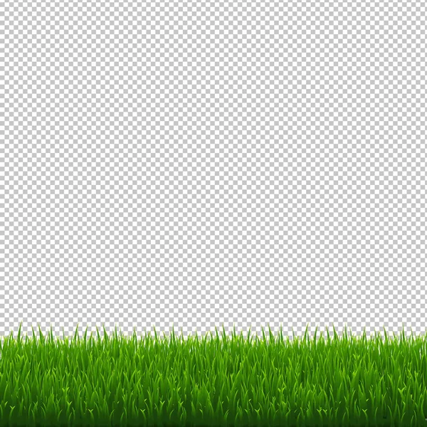 Vert Herbe Bordure Fond Transparent Illustration Vectorielle — Image vectorielle