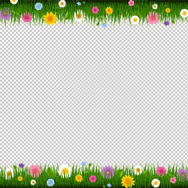 Groen Gras Met Bloemen Frame Transparante Achtergrond Met Verloopnet Vectorillustratie — Stockvector