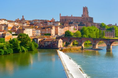 Albi görünümünü
