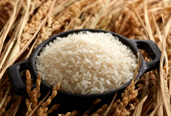 Raw Rice Pot Wooden Background — Stock Photo, Image