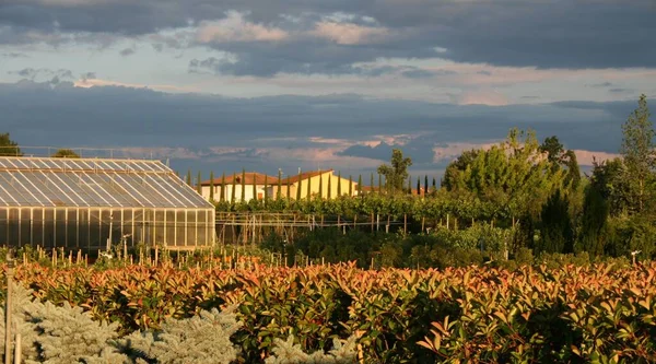 Jardim Infância Italia Toscana — Fotografia de Stock