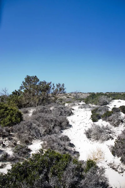 Maravilhosa Praia Ilha Creta Grécia — Fotografia de Stock