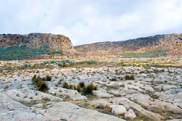 Görkemli Isola Gramvousa Kısrak Azzurro Cristallino Grecia — Stok fotoğraf