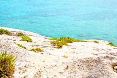 Görkemli isola di Gramvousa, Kısrak Azzurro Cristallino - Grecia