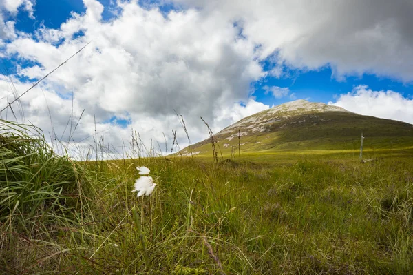 Mount Errigal, Co Donegal alttan görünüm.