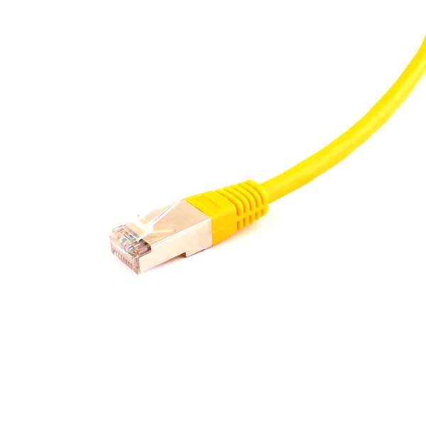 Cavi Rete Patch Cord Sfondo Bianco — Foto Stock