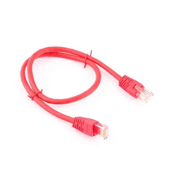 Cabos Rede Patch Cords Fundo Branco — Fotografia de Stock