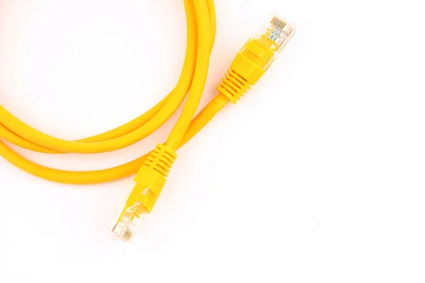 Cabos Rede Patch Cords Fundo Branco — Fotografia de Stock