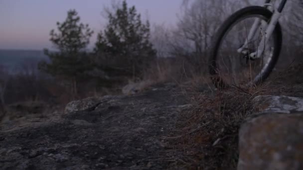 Jinete Extremo Bicicleta Cuesta Abajo Parque Otoño Vídeo Cámara Lenta — Vídeo de stock