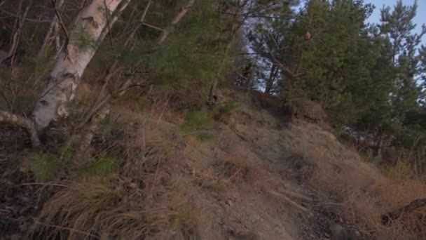 Extrem Ryttare Downhill Cykel Höstparken Slowmotion Video — Stockvideo
