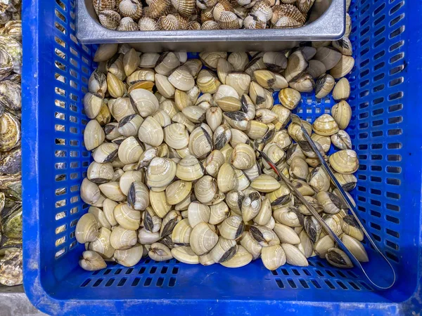 해산물 시장에서 판매되는 바구니에 넣어 요리하지 않은 조개 — 스톡 사진