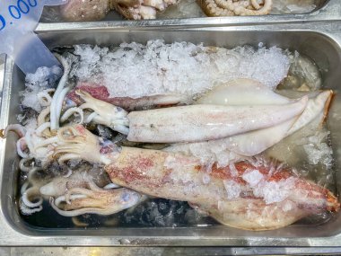 Dondurulmamış mürekkep balıkları deniz ürünleri pazarında buzda satılıyor.