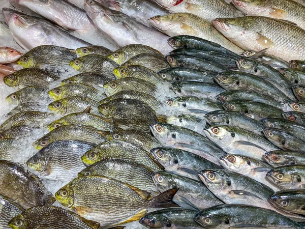 Gevroren vis op ijs bij de viswinkel in de supermarkt — Stockfoto