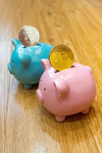 Pink and blue piggy banks with silver and golden bitcoin