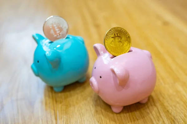Silver and gold bitcoin saving on piggy bank
