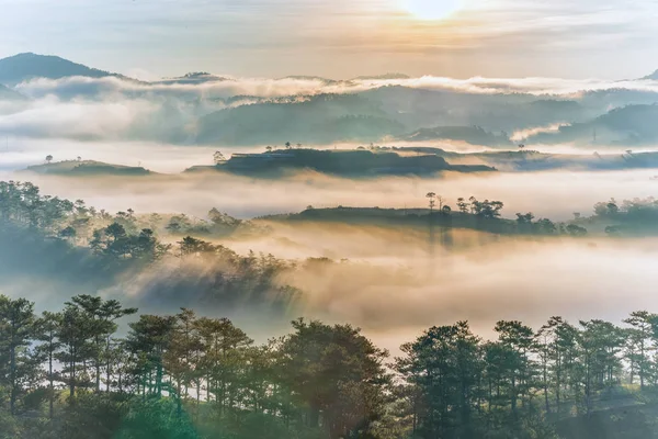 Montagne tranquille et paysages forestiers dans le brouillard matin lever du soleil — Photo