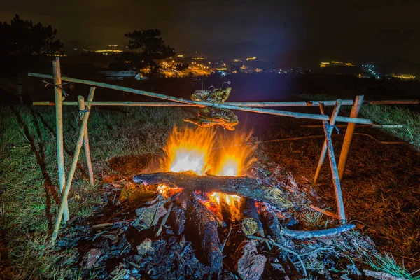 Délicieux poulet grillé sur feu orange et bois de chauffage la nuit — Photo