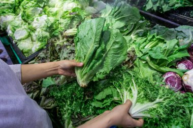 Marketteki sebze standında yeşil salata seçen kadın. 