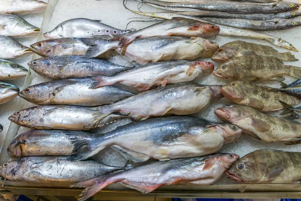 Stapel rauwe vis te koop op vismarkt — Stockfoto