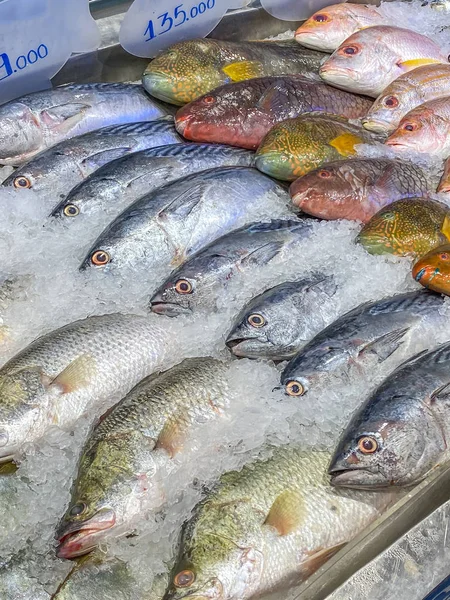 Diverse soorten vis in goede staat te koop in de supermarkt — Stockfoto