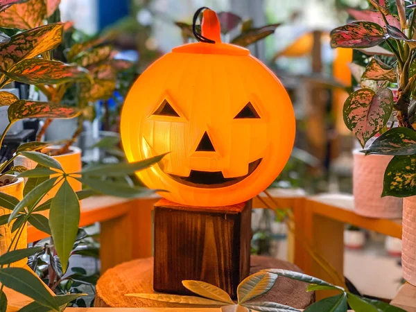 Pumpkin jack o lantern surrounded by plants for Halloween decoration — ストック写真