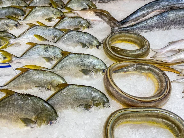 Bevroren scholvis en paling op ijs in viswinkel — Stockfoto
