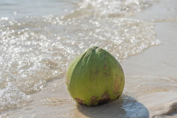 Noix de coco fraîche tropicale sur l'eau de mer — Photo