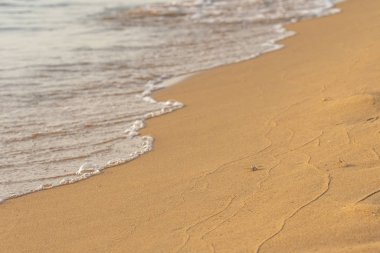 Huzurlu kumsalda küçük bir yengeç